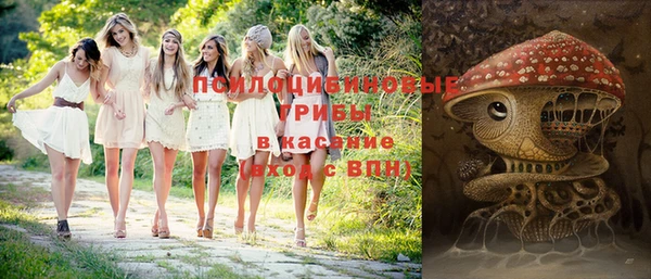 тгк Богородицк