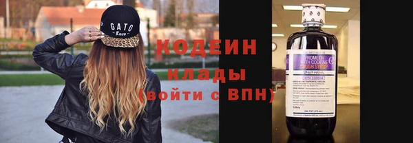apvp Бородино