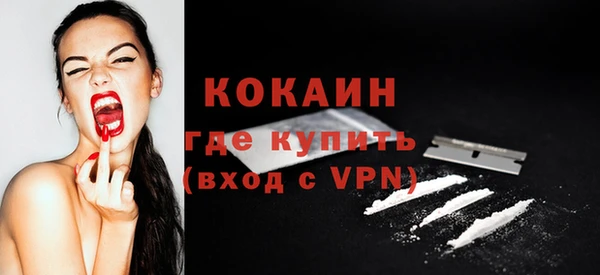 apvp Бородино