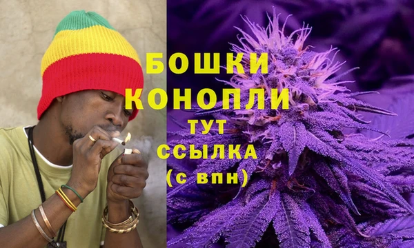 тгк Богородицк