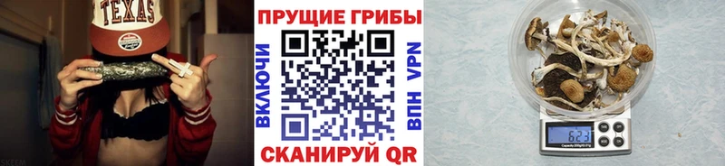 Галлюциногенные грибы MAGIC MUSHROOMS  купить закладку  OMG маркетплейс  Валуйки 